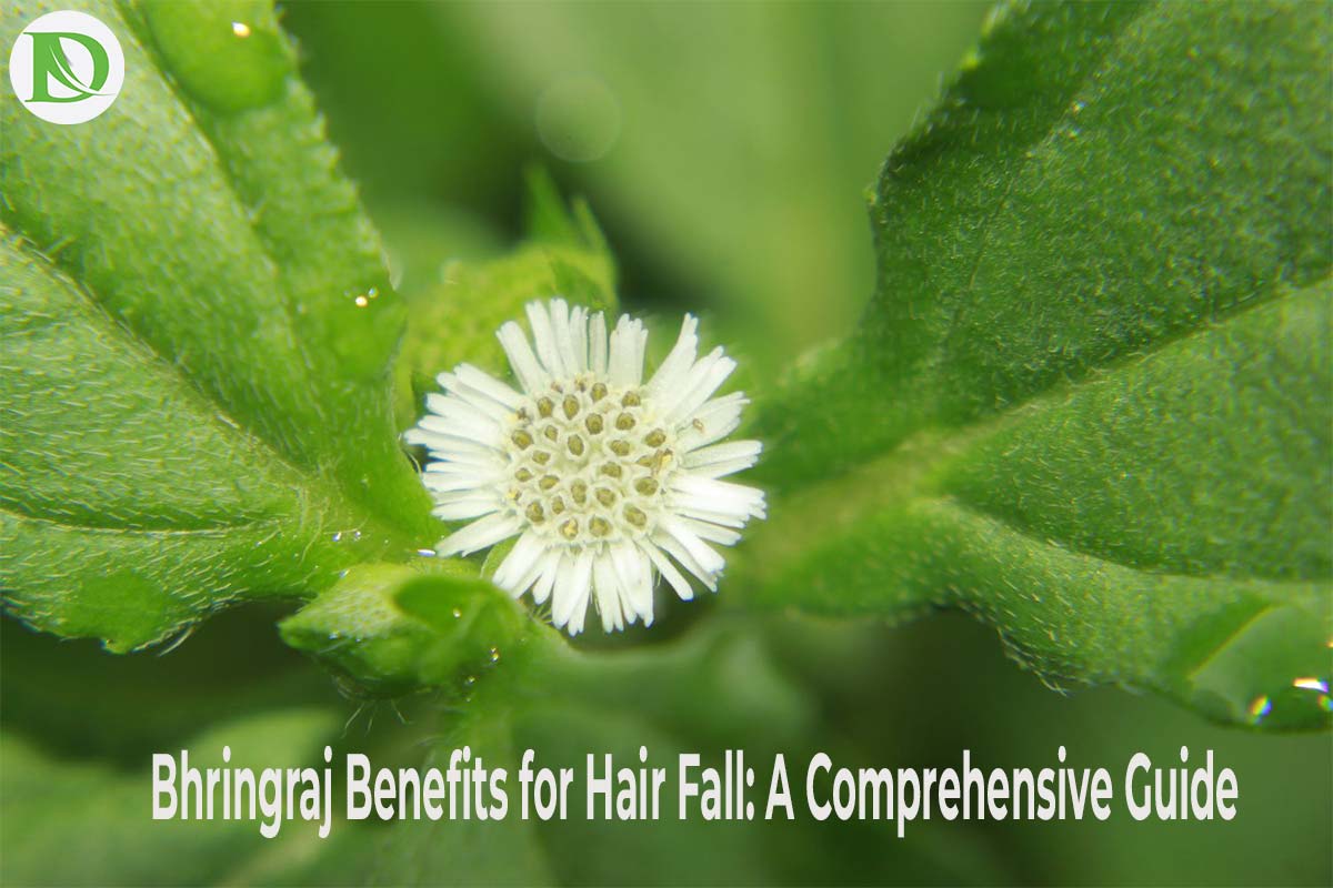 You are currently viewing Bhringraj Benefits for Hair Fall: A Comprehensive Guide