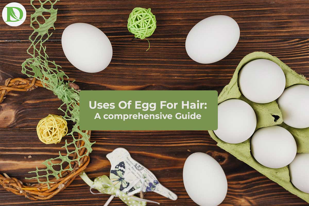 You are currently viewing Uses Of Egg For Hair: A comprehensive Guide