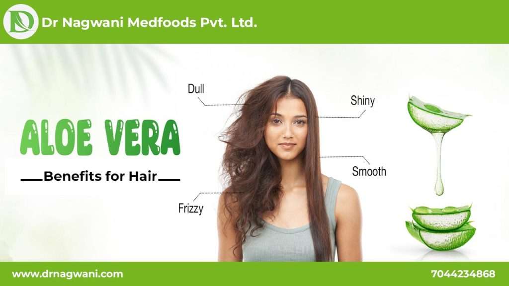 Read more about the article Benefits of Aloe Vera for Hair: A Comprehensive Guide