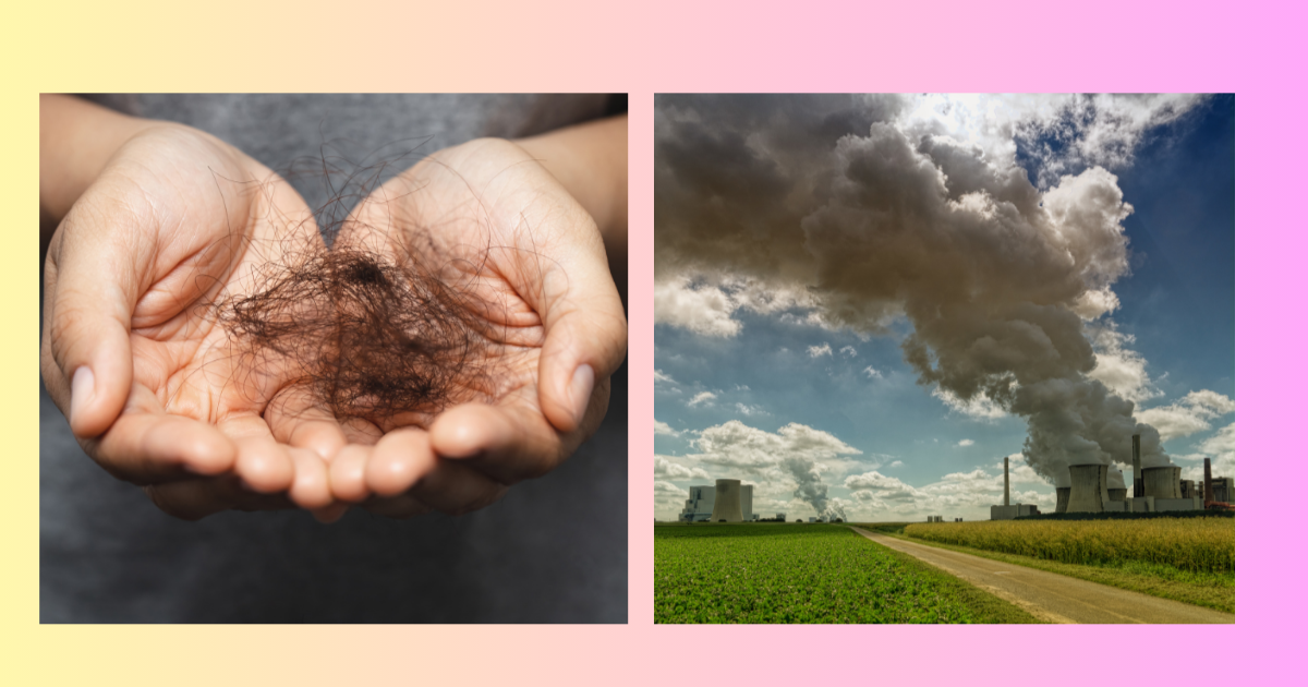 bad environment = hair fall