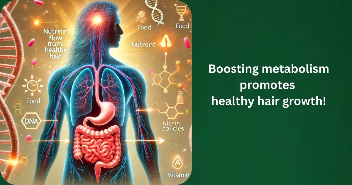 metabolism-has-a-direct-relationship-with-the-production-of-hormones